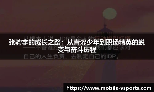 VSport登录入口